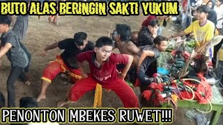 JARANAN BUTO BERINGIN SAKTI YUKUM JAYA