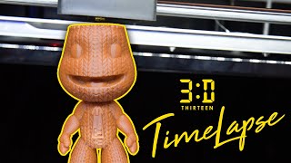 3D Printer Timelapse - Little Big Planet's Sackboy 4K (Qidi Tech X-Max)