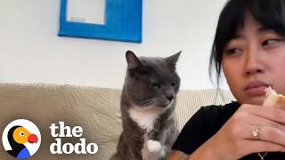 Woman In Denial Doesn't Want To Admit She's A Cat Mom | The Dodo