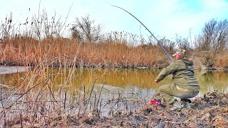 КАРАСИ-КОНИ! МОЩНЫЙ КЛЕВ НА ПОПЛАВОК, ТОЛЬКО ЗАБРАСЫВАЙ!