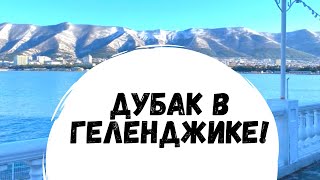 Замерзаем в Геленджике на Зимовке!