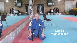 Kambiz Mostofizadeh - Top 3 Greatest Martial Arts Styles