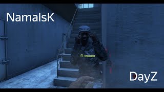 DAYZ | NAMALSK | МИЛЫЕ КЕПКИ | СУРОВОЕ ВЫЖИВАНИЕ.