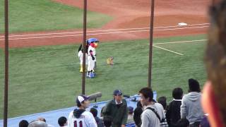 Bazooka Time at Jingu Stadium during Swallows-Bay Stars Game