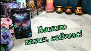 ⚔️🛡️⚖️ Что срочно важно знать сейчас 🤯