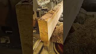 Wood Cutting #2876 #woodworking #woodworkingart #woodworkingtools #wood #woodworkingprojects