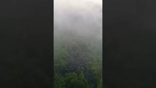 drone terjebak kabut #dronevideo #djimini2 #shorts