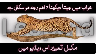 Khwab mein cheeta dekhna | خواب میں چیتا دیکھنا | Khwab ki tabeer