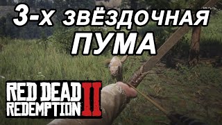 3-х звёздочная ПУМА в начале второй главы/ Red Dead Redemption 2/