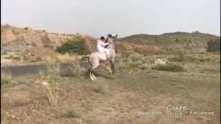 ترقيص الخيل:تشنيع الخيل:كنتر الخيل: