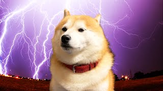 Shibe loses his emotions after being frightened by lightning.