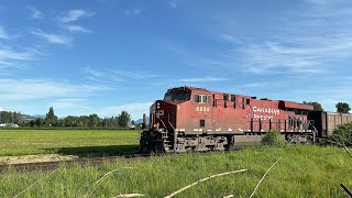 Almost Missed It!!! CPKC 800 (Empty Coal Train) @ Matsqui BC Canada 14MAY24 CP ES44AC 8958 Leading