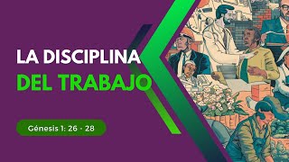 La disciplina del trabajo | Génesis 1: 26 - 28 | La Vid Iglesia Cristiana Bíblica..