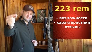 223 rem. Почему не использую? Его возможности на ОХОТЕ ?!