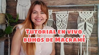 Tutorial En Vivo Búhos De macramé