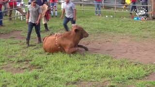 MONTA DE TOROS FIESTA DE MANUEL ALDRETE 2018