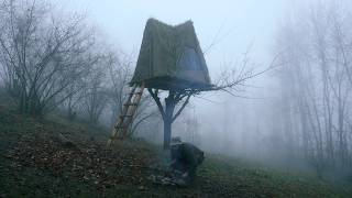 Building a Cozy Tree House with a Grass Roof in the Wild