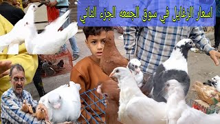 اسعار الحمام والزغاليل في سوق الجمعه بالاسكندرية الجزء الثاني #شريف_الغيه_المصريه