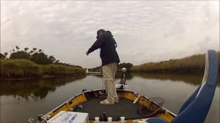 Estuary Perch Part 1