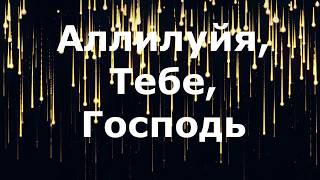 Вся хвала Тебе Господь - Духовный Центр Возрождение (караоке), плюс