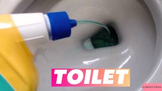 How To Clean Hard  Water Stains In Toilet With Zep Toilet  Cleaner