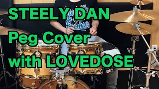 Steelydan Peg Cover with LOVEDOSE(ラブドス) vol.1