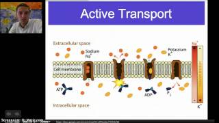 Active Transport