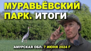 Муравьёвский парк. 3/3. Итоги. 7 июня 2024 г.