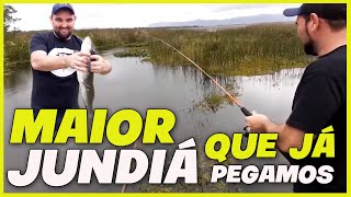 Corte Pesca Sul   Pescaria Jundiá nos Valos Palmital