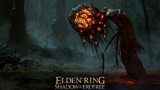 Как убить Неуязвимых в Лесу Бездны? Elden Ring: Shadow of the Erdtree. Abyssal Woods