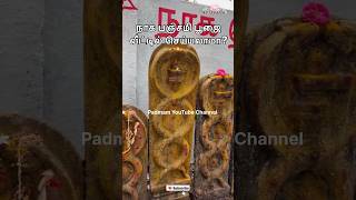 நாக பஞ்சமி பூஜை வீட்டில் செய்யலாமா? | Can Naga Panchami Pooja be performed at home?