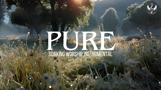 Pure - Soaking Worship Instrumental | Prayer and Devotional