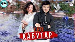 LEO - КАБУТАР  LEO - KABUTAR 2023