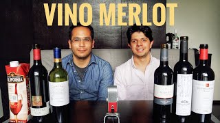 El Mejor Vino Tino | Probamos 6 Vinos Merlot