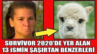 Survivor 2020'de Yer Alan 13 İsmin Şaşırtan Benzerleri - Bakalım siz ne düşüneceksiniz?