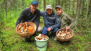 ГРИБНИКИ ОПУСТОШИЛИ ВЕСЬ ЛЕС И БЫЛИ СЧАСТЛИВЫ | НЕМЕРЕНО ГРИБОВ ВОКРУГ НАС  | БЛАГОРОДНЫЕ ГРИБЫ 2024