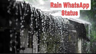 Rain WhatsApp Status Video ❤️|| Rain Video || Mazha Status Video