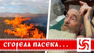 Сгорела пасека, судебный беспредел, здоровье деда