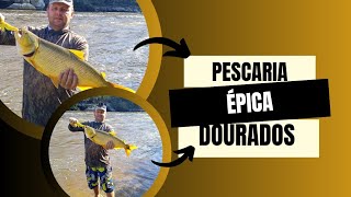 A ÉPICA PESCA DE DOURADOS QUE VAI FAZER SEU CORAÇÃO ACELERAR!!!