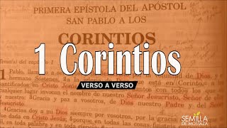 (07) 1 Corintios 4:14-21 -  Amor y autoridad en la iglesia