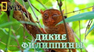 Дикие Филиппины - Скрытые чудеса дикой природы.#Документальный фильм. National Geographic 16+