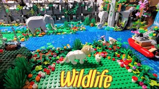 Wildlife - The animals are moving in and they are here to stay!