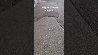 Homelessness In Canada | People live in street In Canada  #drugaddition