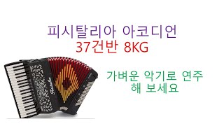 피시탈리아 아코디언 37건반 8KG 가벼운 악기의 장점과 음색