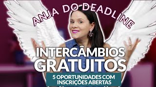 Intercâmbios gratuitos para 2023: winter job, Chevening, Stanford e mais - Partiu Intercâmbio