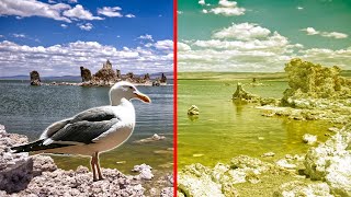 Mono Lake Water Diversion Conflicts in California