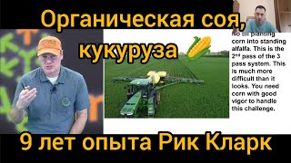 Органический No-till 9 лет Рик Кларк ч.2