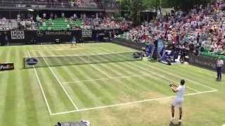 Rafa Nadal and Bernard Tomic warming up on grass in Stuttgart (2015)