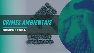 Você sabe o que são crimes ambientais?