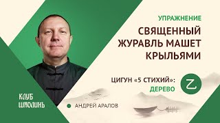 Комплекс цигун 5ти стихий. Упражнение 2. Священный журавль машет  крыльями.  А.В.Аралов.